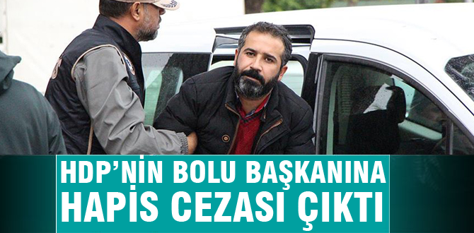 HDP il başkanına hapis cezası