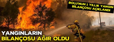 Bolu'da yangınların bilançosu ağır oldu