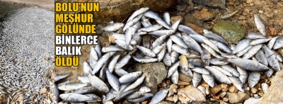 Sünnet Gölü'nde balık ölümlerine inceleme başlatıldı