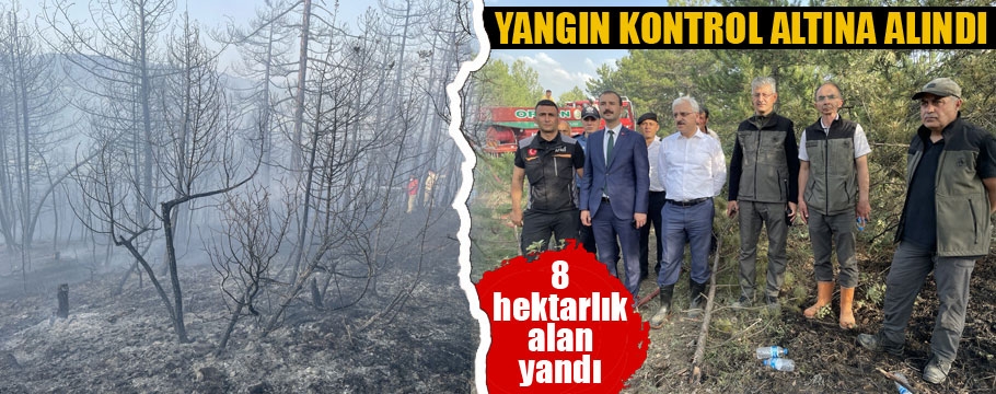 Bolu'da çıkan orman yangını kontrol altına alındı