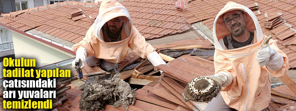 Okulun tadilat yapılan çatısındaki arı yuvaları temizlendi