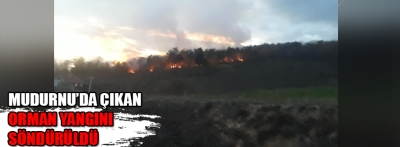 Mudurnu'da çıkan orman yangını söndürüldü