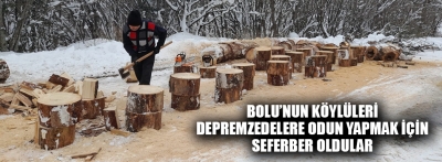 Bolu'da orman köylüleri depremzedelere 52 ton yakacak odun gönderdi