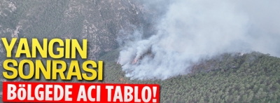 Bolu'da orman yangını tam 45 saat sürdü