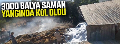 Bolu'da 3 bin balya saman yangında kül oldu