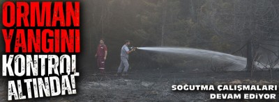 Bolu'da çıkan orman yangını kontrol altına alındı, soğutma çalışmaları başladı