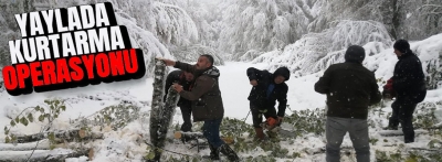 Bolu'da yaylada ormancılar kurtarma operasyonu yaptı