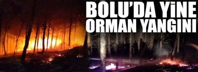 Bolu'da yine orman yangını çıktı