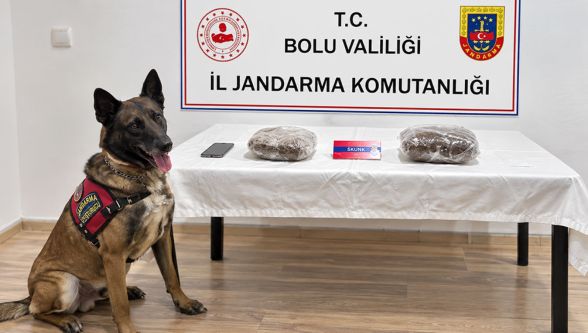Bolu'da otobüste uyuşturucu operasyonu: 811 gram uyuşturucu ele geçirildi