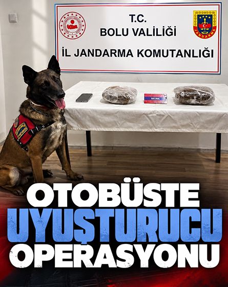 Bolu'da otobüste uyuşturucu operasyonu: 811 gram uyuşturucu ele geçirildi
