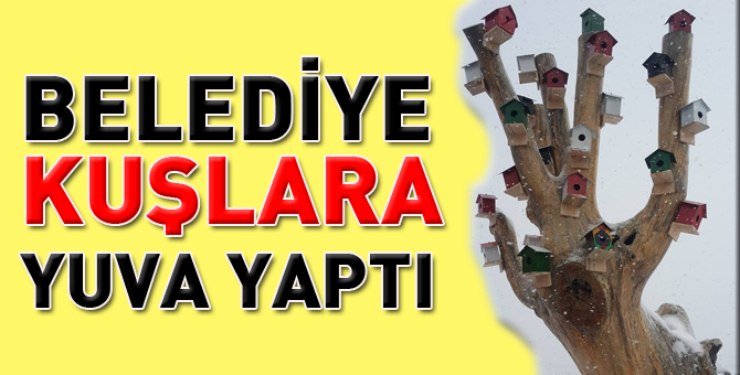 Belediye kediden kuşa kadar yuva yapıyor