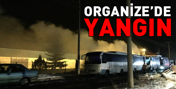 Abant Parke'de yangın çıktı