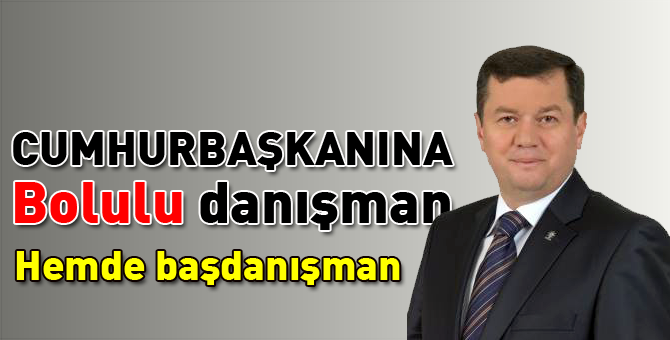 Cumhurbaşakanına Bolulu Başdanışman