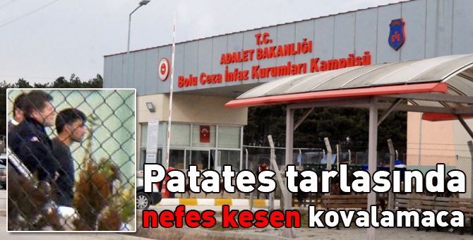 Mahkum patates tarlasında yakalandı