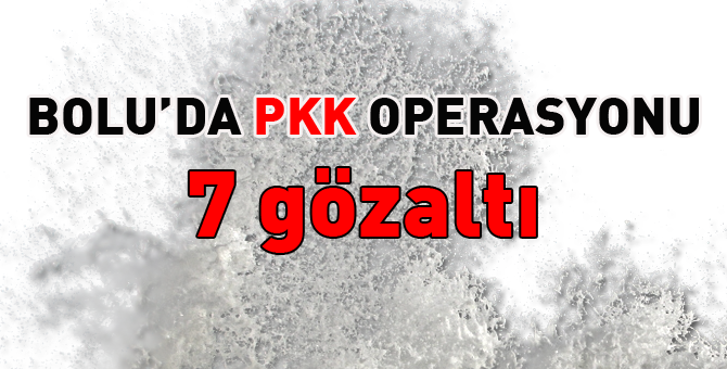 PKK operasyonunda 7 gözaltı