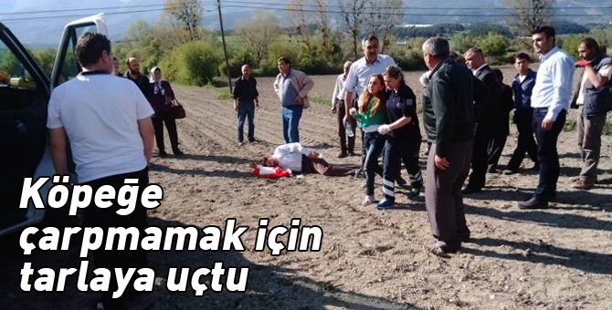 Köpeğe çarpmamak için tarlaya uçtu