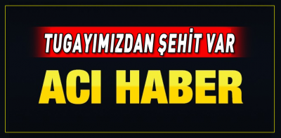 Komando Tugayımızdan şehitlerimiz var