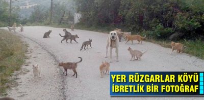 İşte ibretlik bir fotoğraf karesi