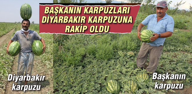 İşta başkan Yılmaz'ın karpuzları