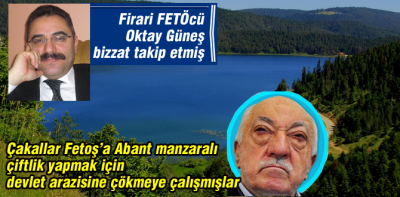 İşte fetoya çiftlik yapmayı planladıkları o arazi