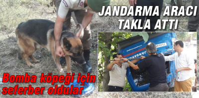 Bomba köpeğini kurtarmak için seferber oldular