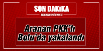Aranan PKK'lı Bolu'da yakalandı