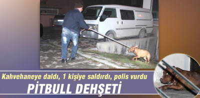 Ya bir çocuğa saldırsaydı