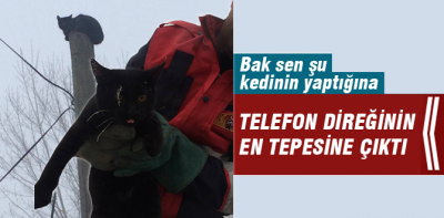 Telefon direğinde mahsur kaldı