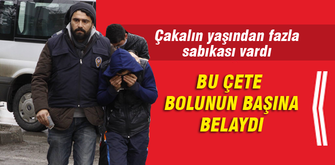Bu çete Bolunun başına belaydı