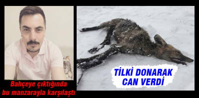 Soğukları anlatmaya yeten haber
