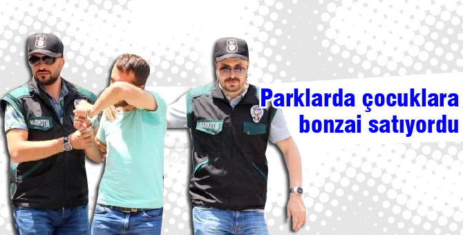 Parklarda Bolunun çocuklarına bonzai satıyordu
