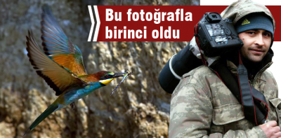 Arçelik A.Ş Uluslararası yarışma açtı, Birinci Bolu'dan oldu