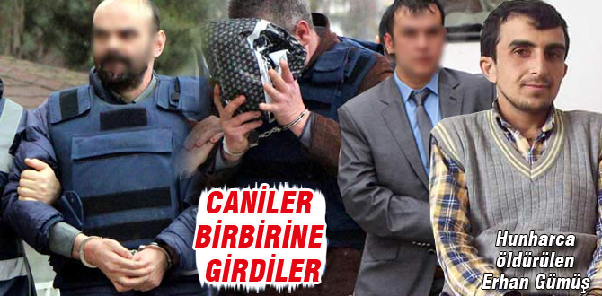 Caniler birbirine girdiler