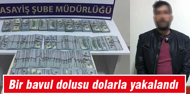 Bir bavul dolarla yakalandı