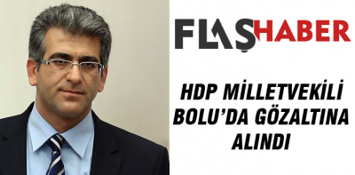 HDP'li milletvekili Bolu'da gözaltına alındı