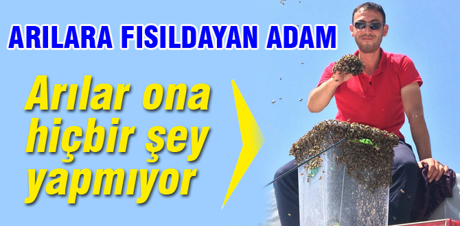 İşte arılara fısıldayan adam