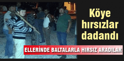 Köylülerin hırsız isyanı