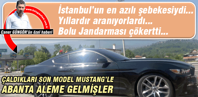 Azılı çete Bolu'da çökertildi