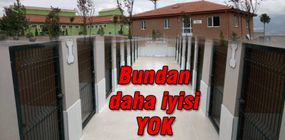 Bölgenin en kapsamlı hayvan hastanesi Bolu'da