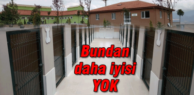 Bölgenin en kapsamlı hayvan hastanesi Bolu’da