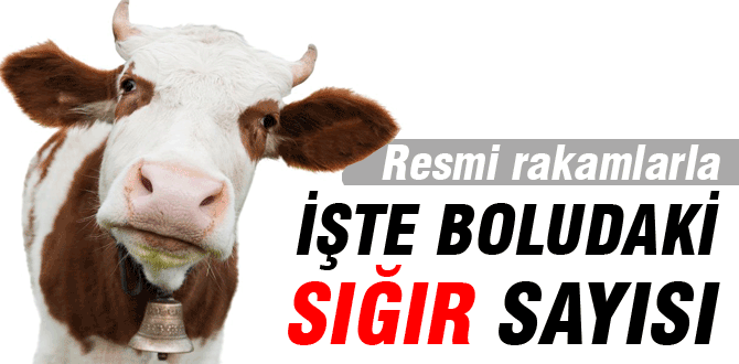 İstatistiklerle Bolu'da hayvancılık