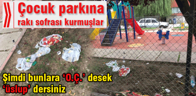 Çocuk parkına rakı sofrası kurmuşlar