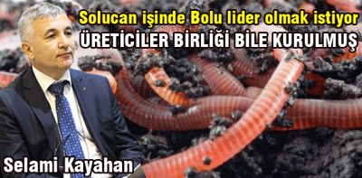 Bolu'da solucan toplantısı