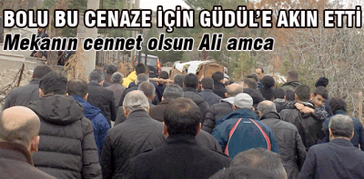 Bolu Güdül'e akın etti