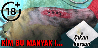 Bulun bu manyağı