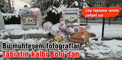 Çöpün kalbi Bolu