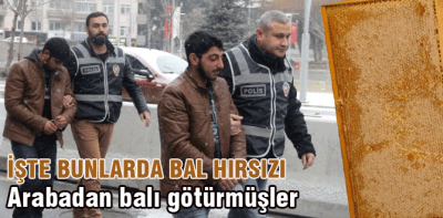 Bal hırsızları yakalandı