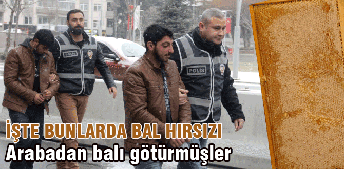Bal hırsızları yakalandı