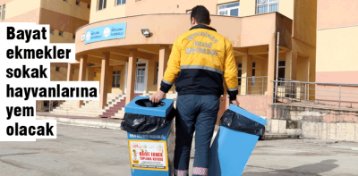 Bayat ekmekler sokak hayvanlarına yem olacak