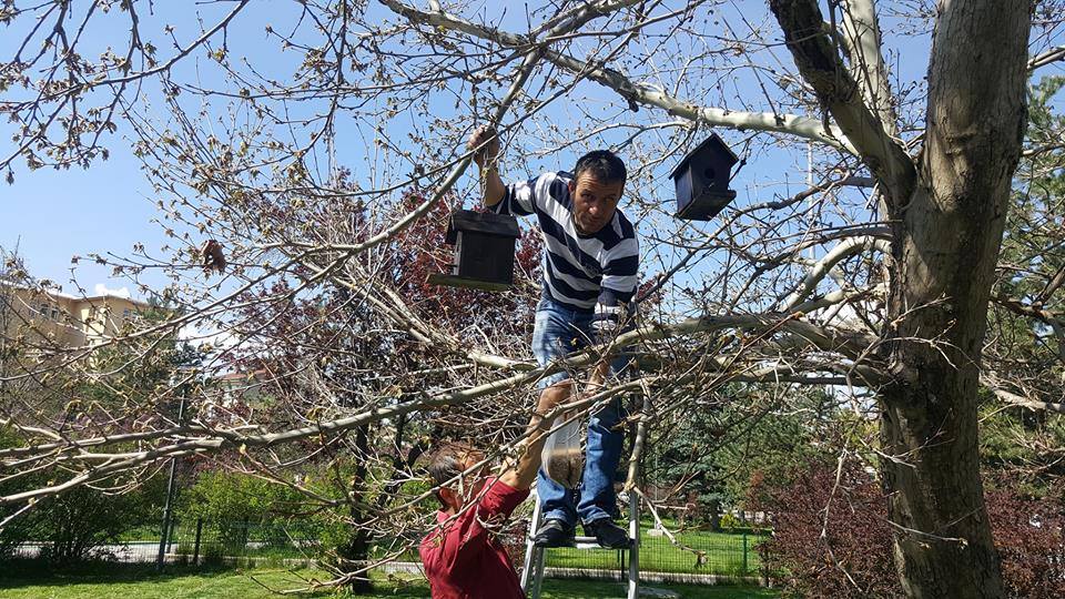 Kuş yuvaları parklardaki yerini alıyor